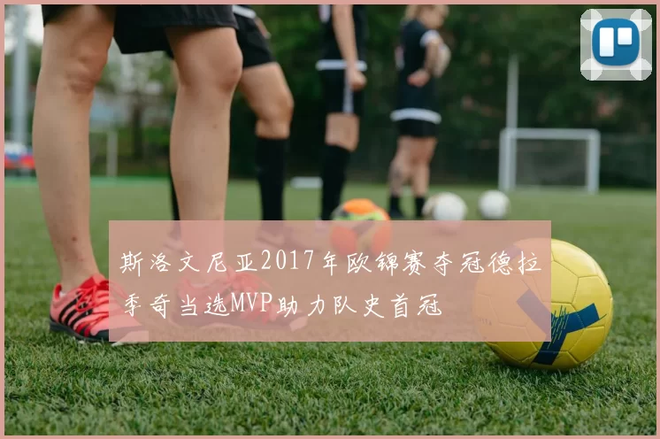 斯洛文尼亚2017年欧锦赛夺冠德拉季奇当选MVP助力队史首冠