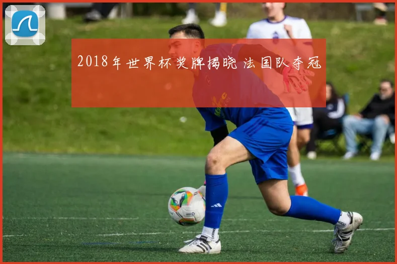 2018年世界杯奖牌揭晓 法国队夺冠