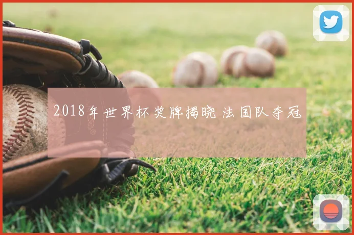 2018年世界杯奖牌揭晓 法国队夺冠