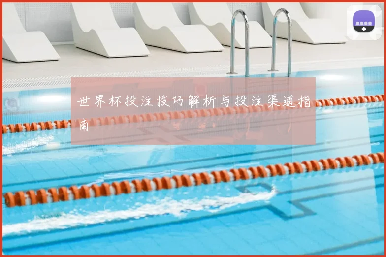 世界杯投注技巧解析与投注渠道指南