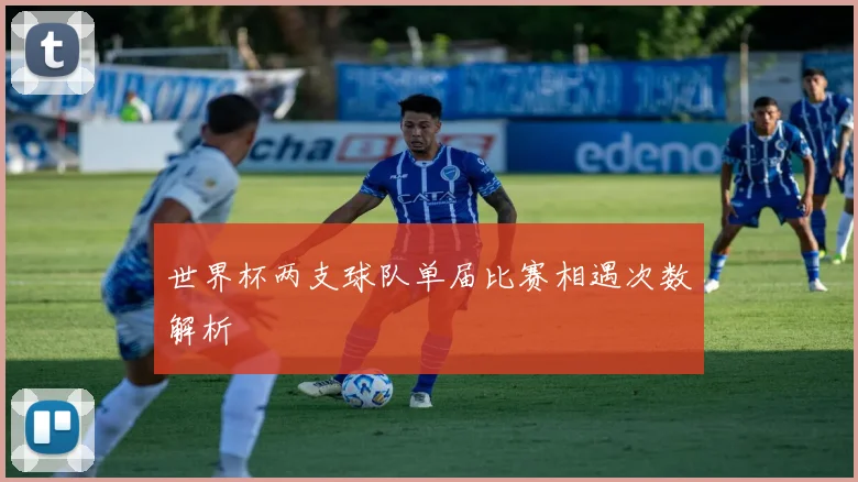世界杯两支球队单届比赛相遇次数解析