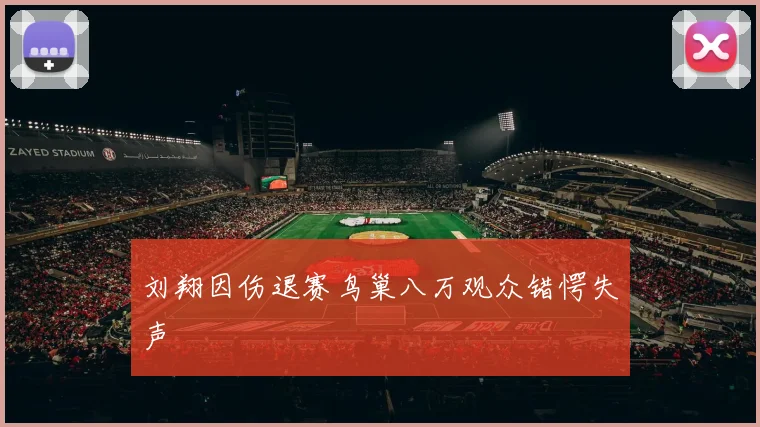 刘翔因伤退赛鸟巢八万观众错愕失声